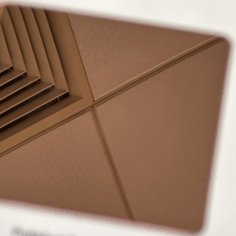 SSTG-19 Polished red rose