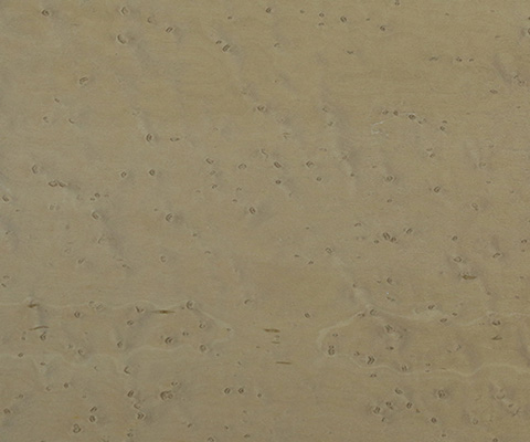 WD-10 Bird eyes maple veneer