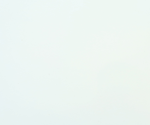 WD -2 Solid pearl white color